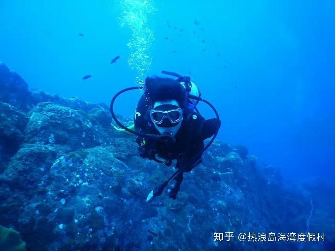 探探猫宝石岛