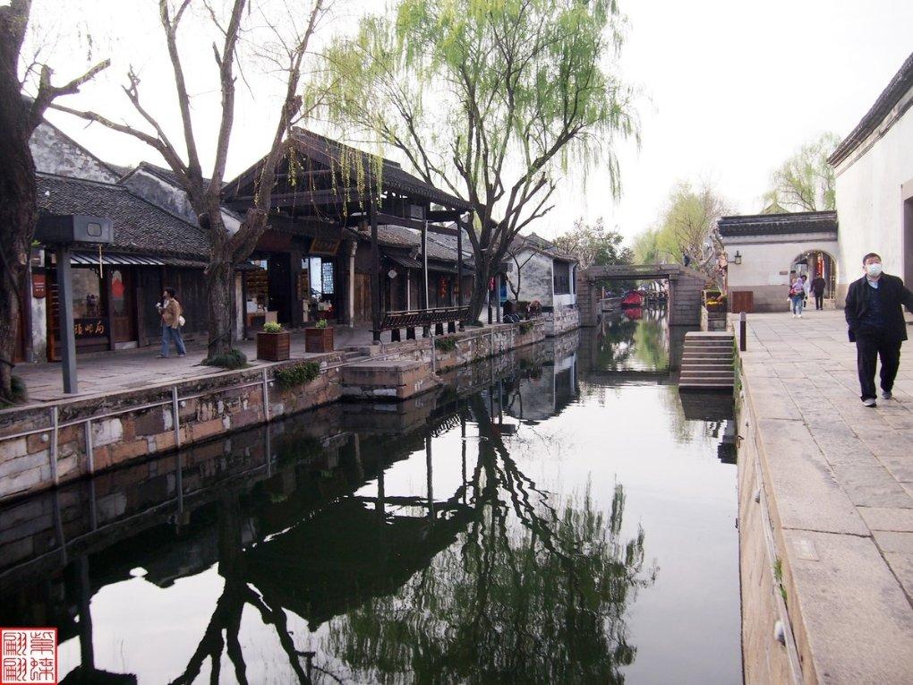 俗语云:“头生九龙骨,早晚必显贵”,其中“九龙骨”指什么?